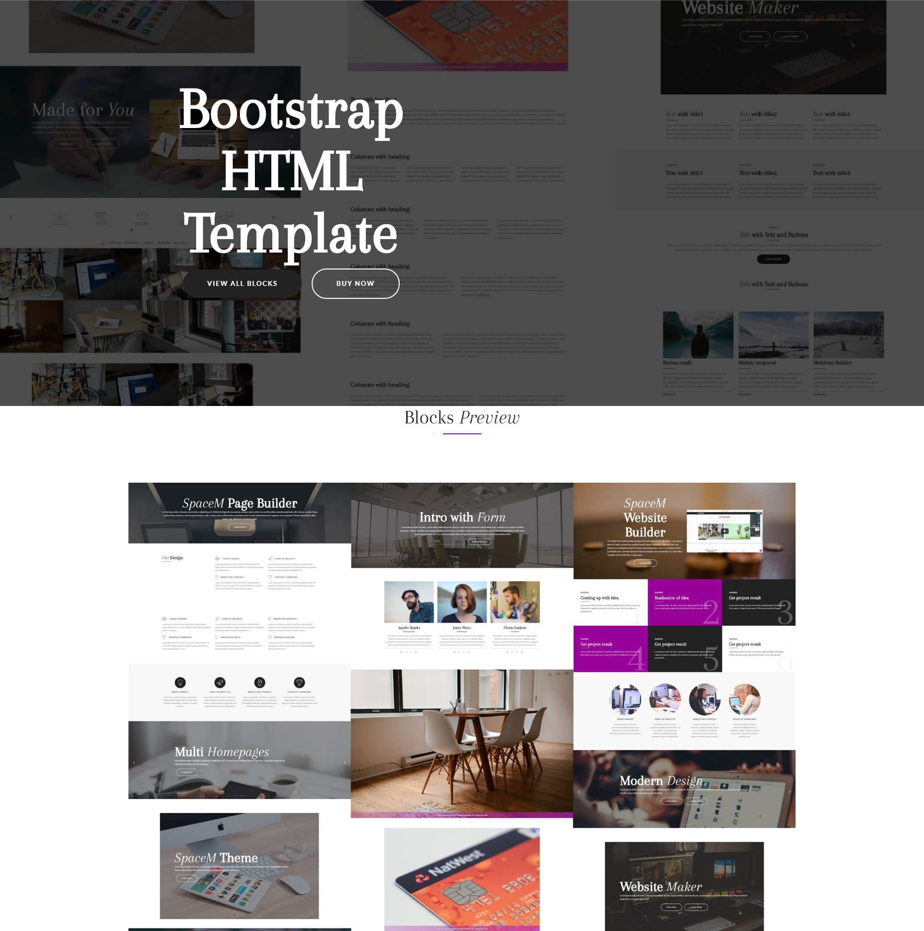 Free Bootstrap SpaceM Templates