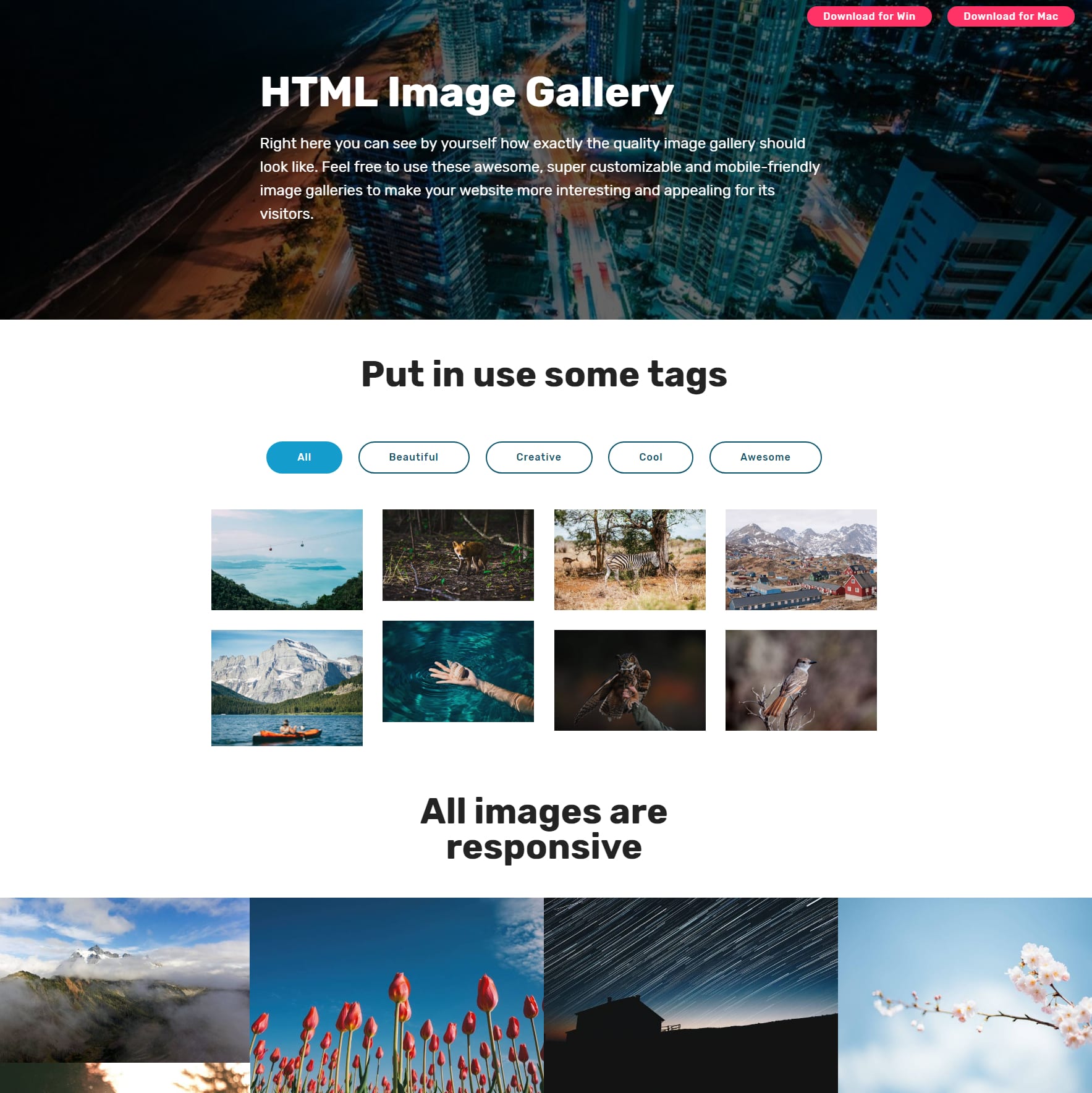 Responsive Bootstrap Picture Gallery